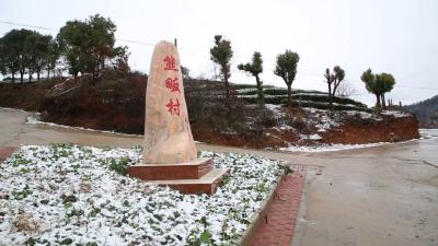 观音湖区：产业扶贫让贫困户共享“致富果”！