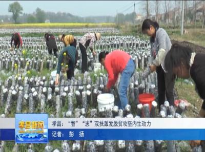孝昌：“智”“志”双扶激发脱贫攻坚内生动力！