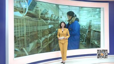 －－陡山乡：主动认领问题  加强环境整治
