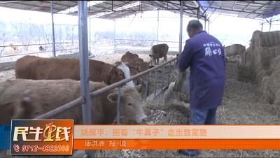 姚保平：扭着“牛鼻子”走出致富路