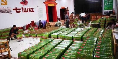 程国庆获评“全国科技助力精准扶贫先进个人”！