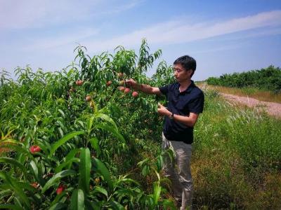 华中科大5批工作队接力扶贫 重点贫困村蝶变“魅力巴石”