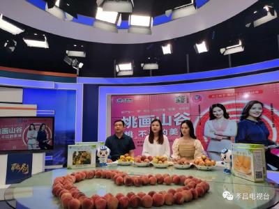 3108单！中国铁物、重庆援孝医疗队争相为孝昌桃农拼单！