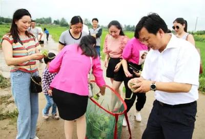 美！孝昌这个村太空莲开啦！