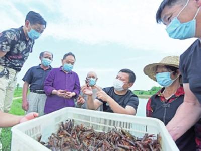 发展养殖业助村民增收