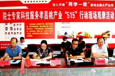 孝昌桃又获部级殊荣！