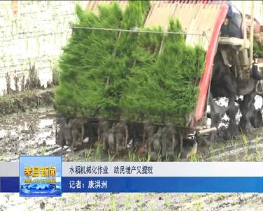 水稻机械化作业　助民增产又提效
