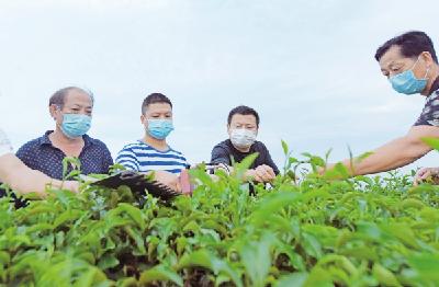 孝昌：抓产业 送技能 促增收