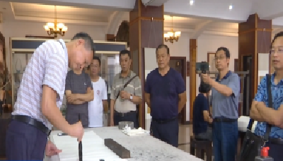以笔会友 省市县书法家齐聚孝昌