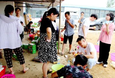 不仅卖了1200件黄桃，还引发采摘游热潮！