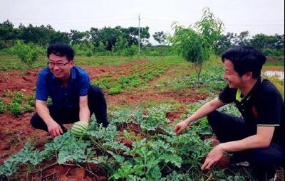 孝昌 | 村企携手走上党建引领脱贫路！