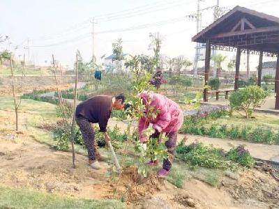 讲家风，传家训，文明新风润乡村！