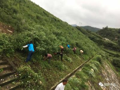 孝昌丨3100余人次、240台套机械设备、350余万元