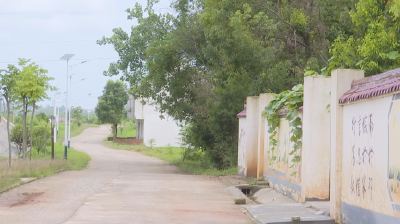 孝昌丨小河镇仙雨砦村：打造宜居生态村庄 获评“国家森林