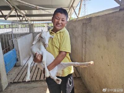 现代放羊 一样脱贫致富