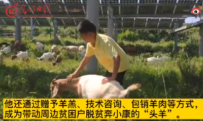 残疾青年唐根根：科学养羊奔小康
