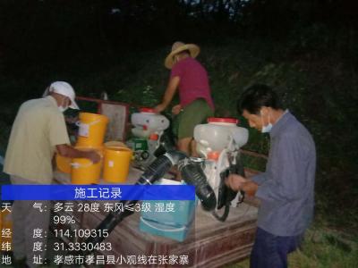 观音湖区：全面防治松材线虫病，守护青山绿水！