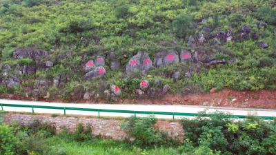 孝昌丨周巷镇青年村：产业扶贫实 致富“快车”稳