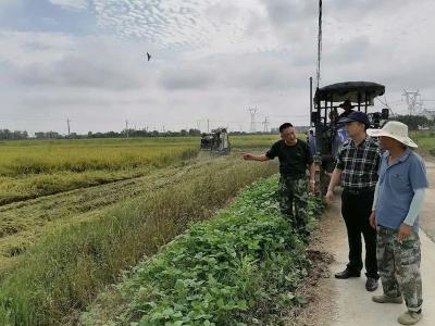 打赢蓝天保卫战，白沙镇严格落实低茬收割！