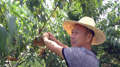 孝昌：生态种养殖引领村民奔富路