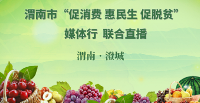 渭南市“促消费 惠民生 促脱贫” 媒体行联合直播 渭南•澄城