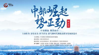 刚刚，这个重要活动在湖北启动  
