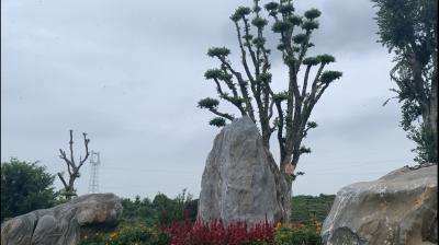 孝昌推进农旅融合示范路建设有一套
