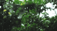降雨来袭！孝昌气温跌至1字头... 