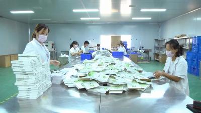 积极求变，孝昌药企走出自救突围之路！