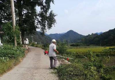 观音湖区：森林防火无小事，“硬核”举措守青山！