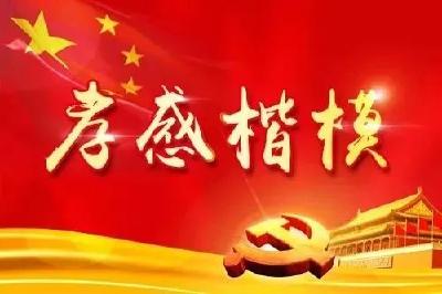 2020年第二期“孝感楷模”榜单出炉，孝昌陈晏林榜上有名！