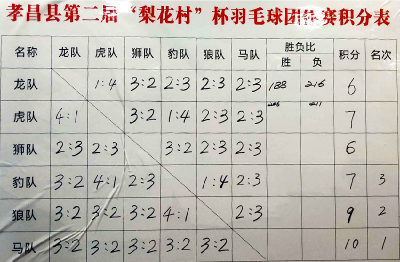 孝昌县第二届“梨花村”杯羽毛球赛圆满落幕