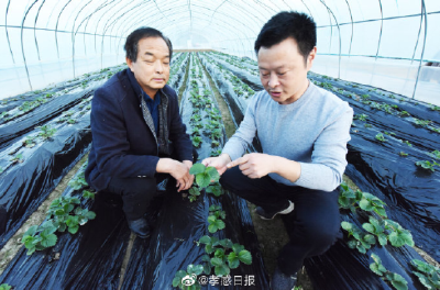 大力发展富民产业，拓宽群众增收渠道！