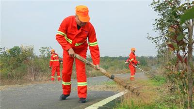 加强农村公路路域环境整治 打造美丽农村路