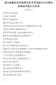 正在公示！孝昌这个人拟记大功！