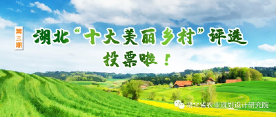 票选湖北“十大美丽乡村”，您的一票对孝昌很重要！