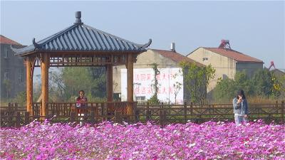 推门见花海 扮靓美丽陡山