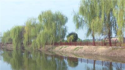 小村大变样，不比城里差！