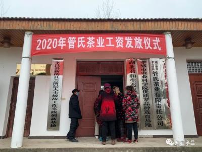 小小一片叶 扶贫大作为