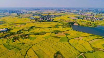 孝昌：牢牢把握五大主攻方向，加快建成全省山区经济强县 