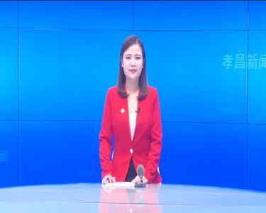 --戴传亮参加白沙代表团分组讨论