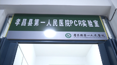 核酸检测能力升级，筑牢公共安全防护网！