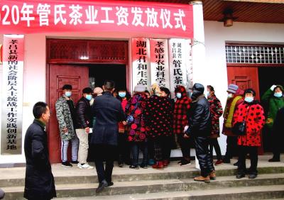孝昌管氏茶场打造“扶贫茶”产业，助力村民脱贫致富！