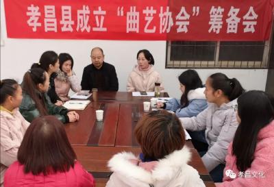 健全新文艺群体・融入基层社会治理