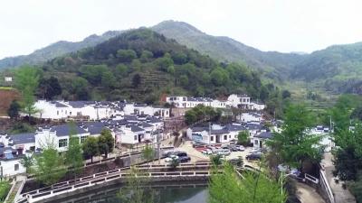 小悟乡笔架村：发展扶贫产业，助群众脱贫致富！