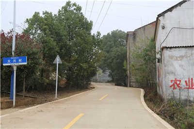 龚纯：情系大兴村　书写巾帼志