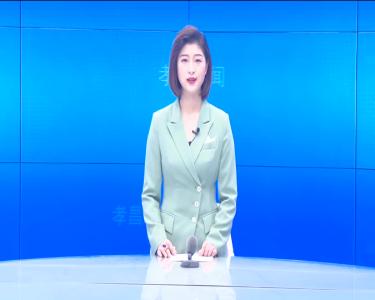 --县审计局在桃源社区开展支部主题党日活动