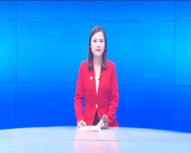 --陈冬：返乡创业当“牛倌” 带领村民奔小康