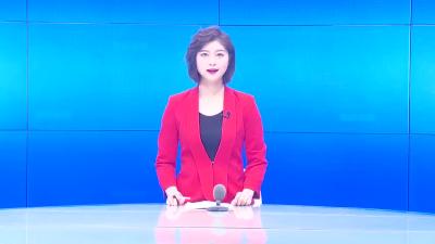 --县政府六届四次全体（扩大）会议暨政府系统廉政工作会议召开.mpg