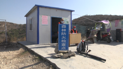 森林防火“不休假”，丰山镇这些措施很“硬核”！
